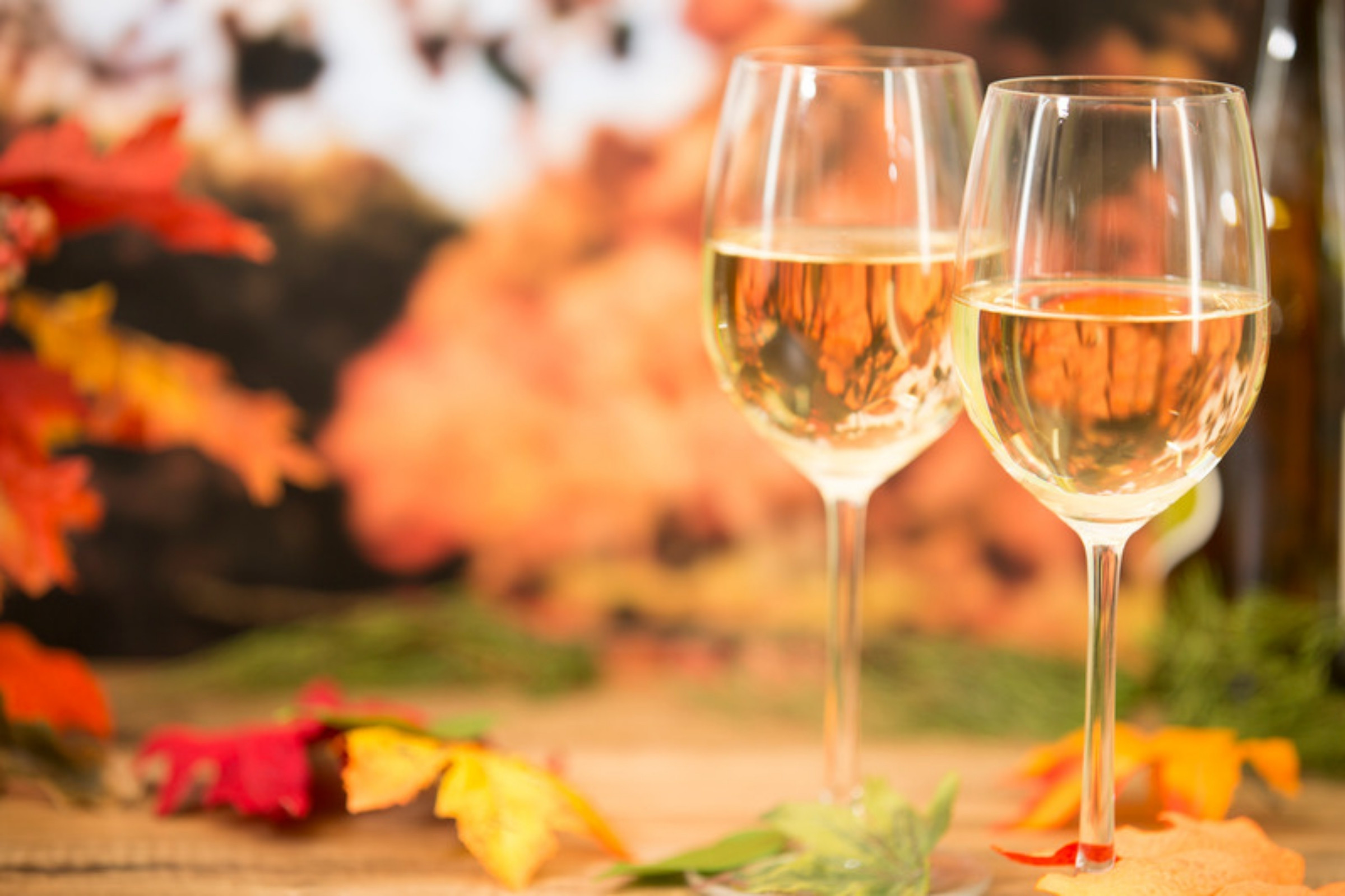 Fall Is Served Two glasses of white wine on a table with an autumn foliage backdrop